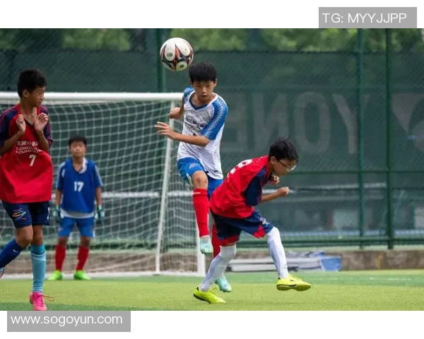 热爱运动的我每天都在追逐梦想的绿茵场上踢足球